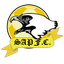 SAP FC
