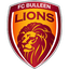 Bulleen Lions