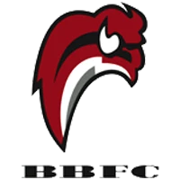 Buffles du Borgou FC
