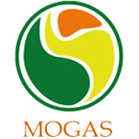 Mogas 90 FC
