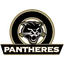 Panthères FC