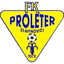 Proleter Slavinovići