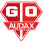 Grêmio Osasco Audax Grêmio Osasco Audax