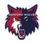 Wexford Wolves
