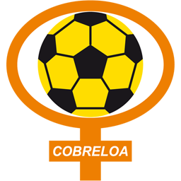 CD Cobreloa