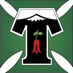 Deportes Temuco