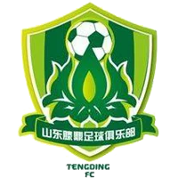 Shandong Tengding