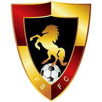 Fujian Broncos