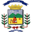 Municipal Coto Brus