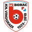 Borac Kneževi Vinogradi