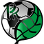 FC Pinar del Río