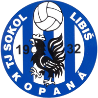 Sokol Libiš