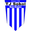 Sokol Nové Strašecí