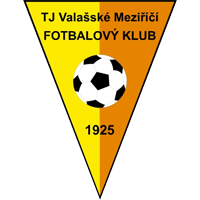 TJ Valašské Meziříčí