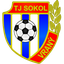 Sokol Vraný