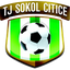 Sokol Citice