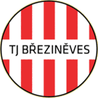 TJ Březiněves