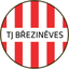 TJ Březiněves