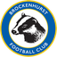 FC Brockenhurst