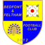 FC Bedfont & Feltham