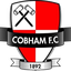 FC Cobham