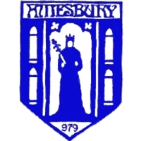 Amesbury Town
