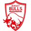 Jersey Bulls