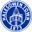 Halesowen Town Halesowen Town