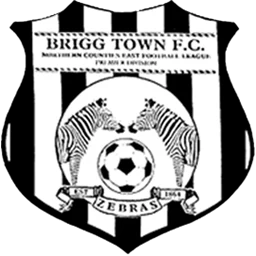 Brigg Town