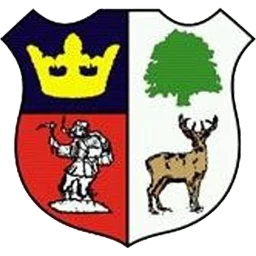 Cinderford Town