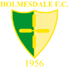Holmesdale FC