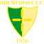 FC Holmesdale FC Holmesdale