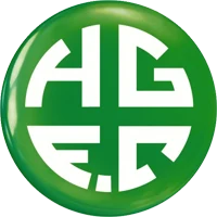 Holmer Green FC