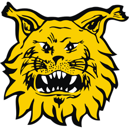 Ilves Tampere II
