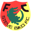 Steve Biko FC