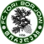 Tori Borjomi