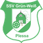 Grün-Weiß Plessa II