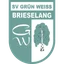 Grün-Weiß Brieselang II
