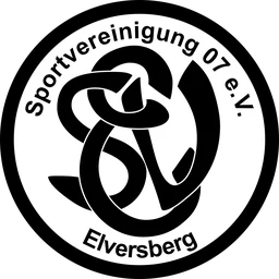 SV Elversberg Logo until 2010