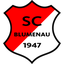 SC Blumenau