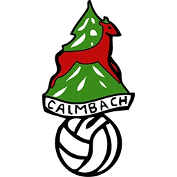 1.FC Calmbach