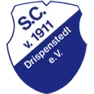 SC Drispenstedt