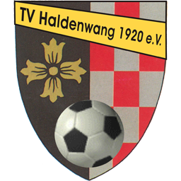 TV Haldenwang