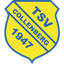 TSV Collenberg