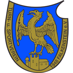 TSV Falkenstein