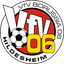 VfV Hildesheim VfV Hildesheim