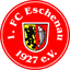 1.FC Eschenau
