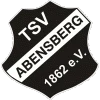 TSV Abensberg II