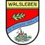 Eintracht Walsleben