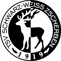 Schwarz-Weiss Zscherben II